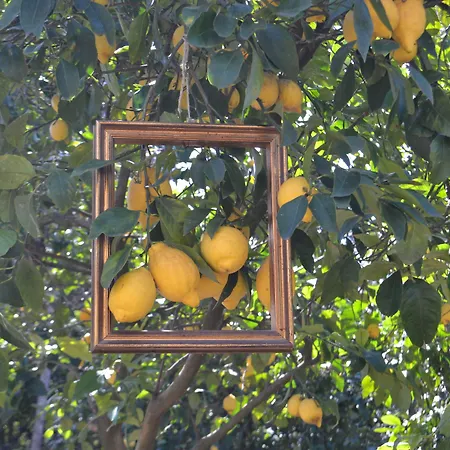Sorrento Experience-2